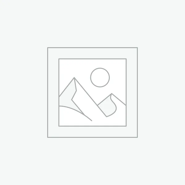SCHMIDT® Servo Press